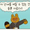 박카스노래광장 | 2026_6월 둘째주 일상(feat.여름이 성큼온듯🌞)