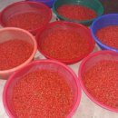 오번리 농장 이미지