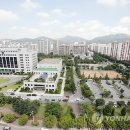 주정차단속-110 이미지