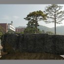 경북고등학교 이미지