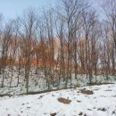 문강농장 이미지