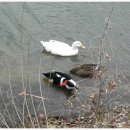 솔마루길 신선산 이미지