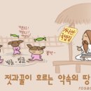 약속의땅 이미지