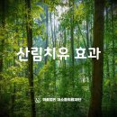 미소들노인전문병원 이미지