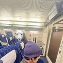 일영낚시터 | [2026년 새해맞이 겨울축제여행/강원 평창]-혼자 평창송어축제에 다녀오다..!!