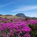 금호훼밀리관광호텔 이미지