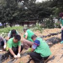 사랑의농장 이미지