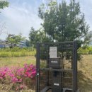 동탄보건소 이미지