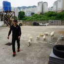 한스모터스 이미지