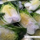 윤희농장 이미지