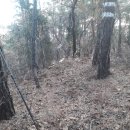 남장사약수터 이미지