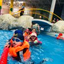 새샘태권도장 이미지