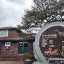 호식이두마리치킨 영천1호점