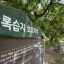 호남 반도체 옆 '람사르 습지', 기후 장관은 어떻게 할 생각인가? 이미지