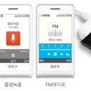 스카이텔레콤 이미지