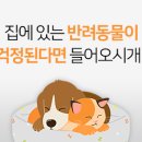 시원신통 한의원 이미지