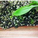 하대동312 이미지