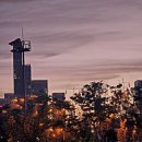 중앙공원1단계 화장실1 | 세종가볼만한곳 중앙공원 2024 낙화축제 후기