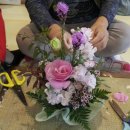 분홍염소 이미지