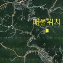 이원선사무소 Daum카페