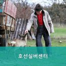 호선실버센터