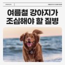 이천종합동물병원 이미지