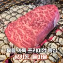 안심마을 | 장기동한우맛집 들마을 -한우모듬세트 안심, 듬심, 특갈비살 제대로 즐긴 후기