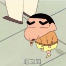 코스모스주짓수 | [수락산주짓수]코스모스주짓수-2019아부다비월드프로시합후기