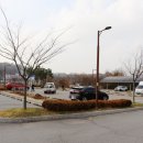 비봉인공습지 축구장 | 화성 비봉 체육공원 기본 정보 비봉 습지 공원 산책