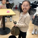 친환경부여농장 이미지