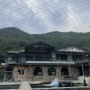 토옥동 송어 횟집 이미지