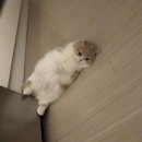 진성보쌈 이미지