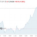 땡칠이도시락 이미지