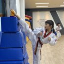 스타일 태권도장 이미지