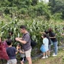 오금1리 이미지