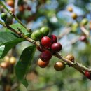 천연화장품,수제비누만들기 이미지