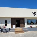 옐로우송버드 이미지