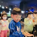 수풀림