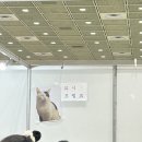 너의 꿈이 내 꿈이 돼