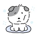 스탠다드피자클럽 이미지