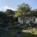 남원읍 공천포구 | [제주/서귀포] 무 히어ㅣ서귀포 남원읍 조용한 카페ㅣ제주남쪽ㅣ공천포 오션뷰ㅣ애견동반 가능