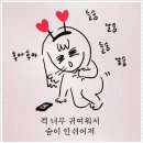 #레오네 이미지