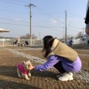 도그노크 이미지