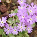 봉양농장 이미지