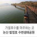 국내 당일여행 논산 탑정호 수변생태공원 이미지