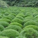 반송농장 이미지