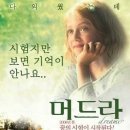 칠 Daum카페