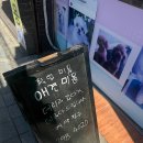 멋내는 애견 티스토리
