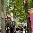 미래로 L | 파주 운정 짬뽕 맛집, 초마면가 (일요일 웨이팅 내돈내산 솔직후기)