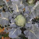 우도농장 이미지